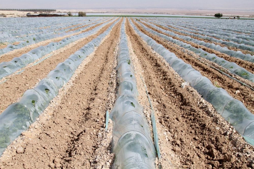 Folie MICROPOROASA AGRYL/ANTI-INGHET 19gr; 9.5x100m=710 lei;12.65x100m