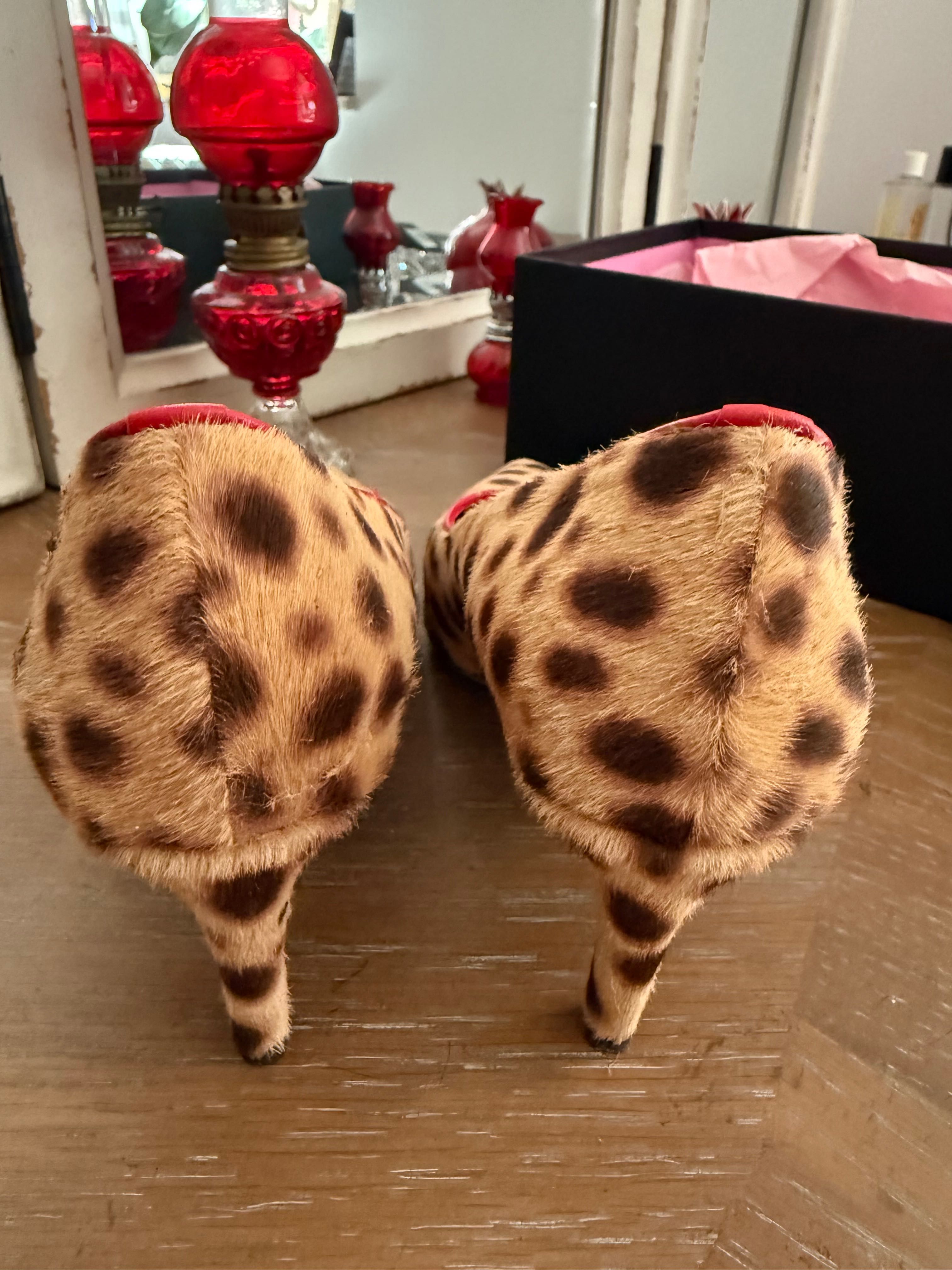 Pantofi piele ,Ginissima