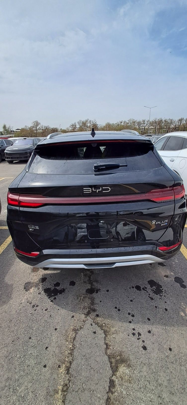 BYD Chempion smart qora rangi 2025yil 605km