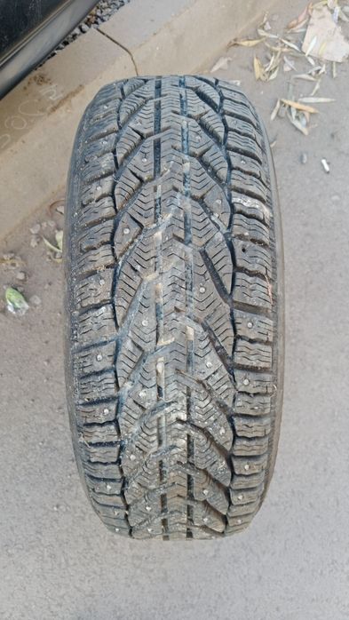 TIGAR  205/55/R16 шипы   15000 т