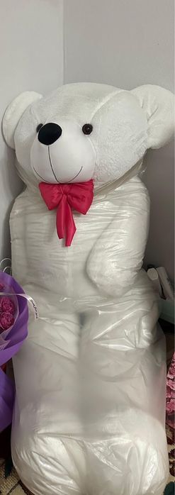 Только в ватсап пишите