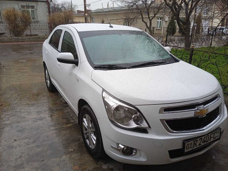 Cobalt Euro variant 2023