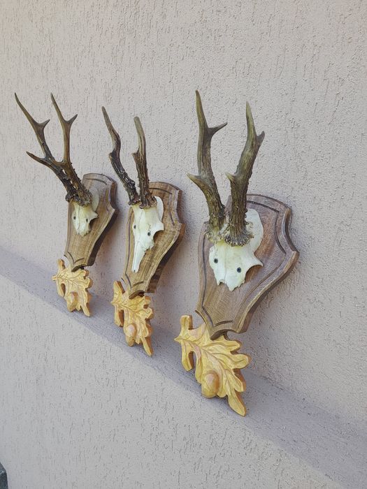 Vând panoplii sculptate manual