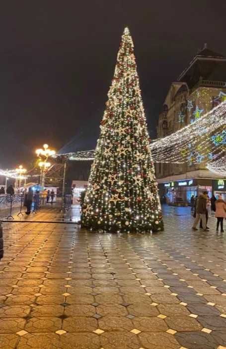 Brazi luminosi de exterior, iluminat festiv Craciun