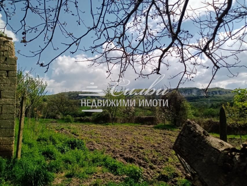Продава се Парцел в Каспичан - 1450 кв.м за 12 €/кв.м - Снимка #3