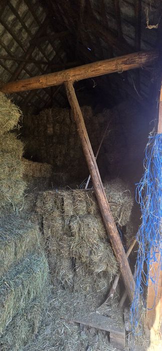 Vând baloti de fân și otavă