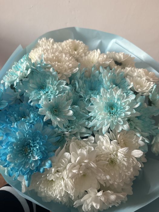 хризантема цветыы средные упоковка