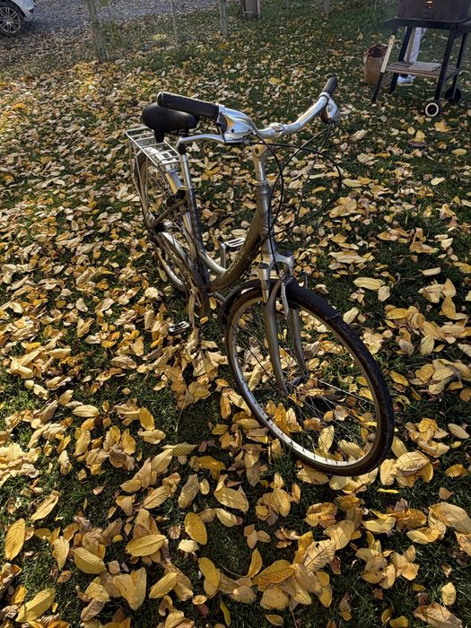 Ретро giant размер L