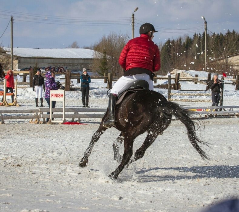 Костюм для верховой езды