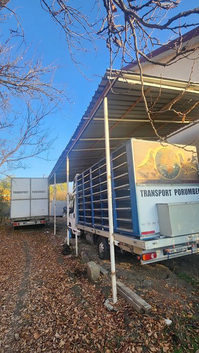 Container , cușcă transport porumbei