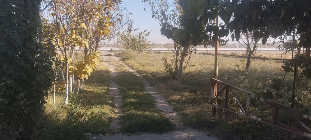 Mashal kottej birinchi qator