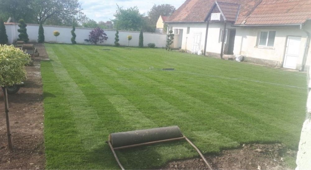 Gazon rulou premium oriunde in tara