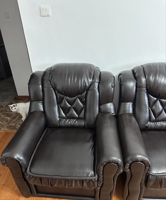 Vand 2 fotolii tin recliner