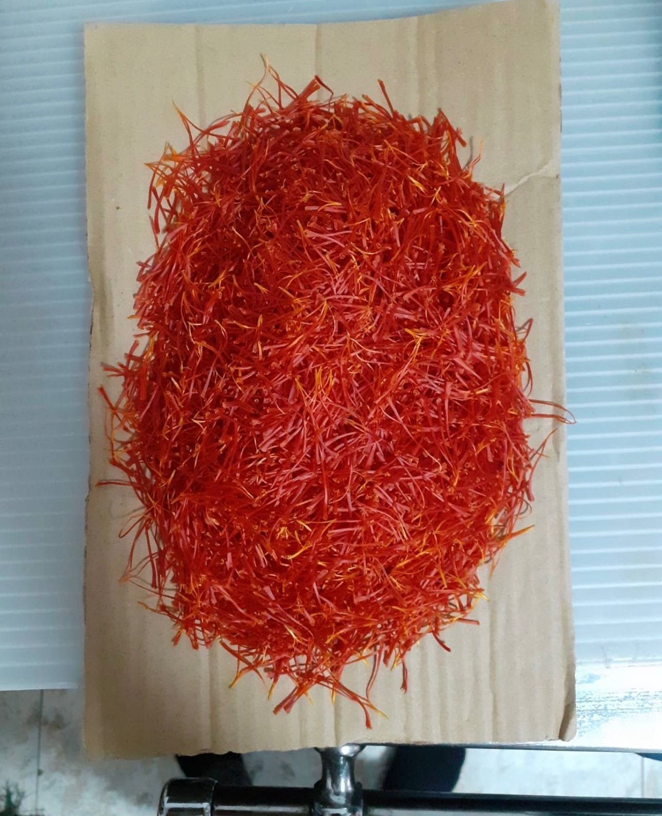 Шафран от родопите