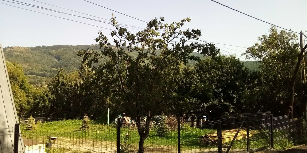 Teren intravilan Valea Doftanei, sat Tesila, Prahova