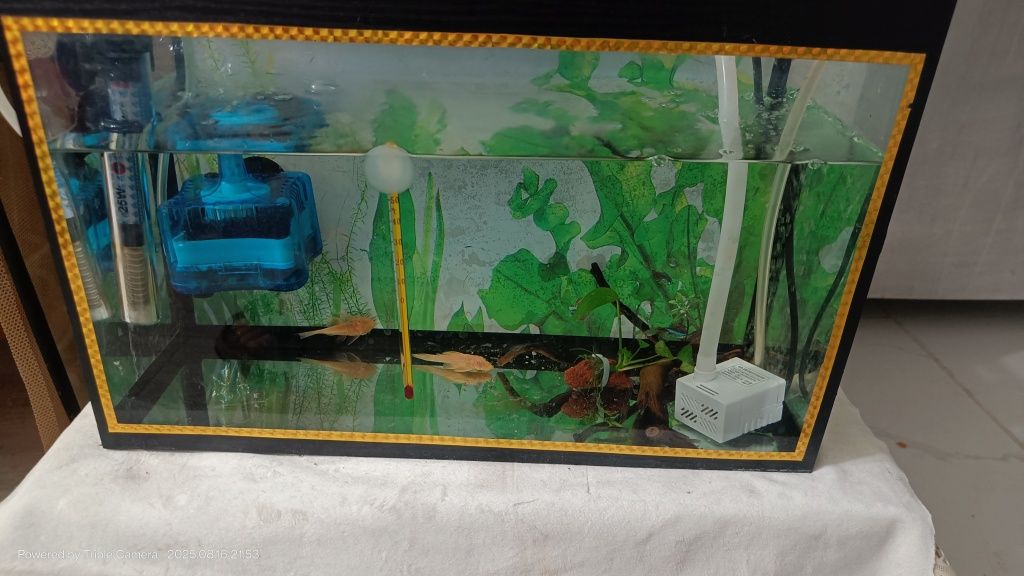 Akvarium Akril Xitoy quyma 300 yaqin srochniy sotiladi+Bonus