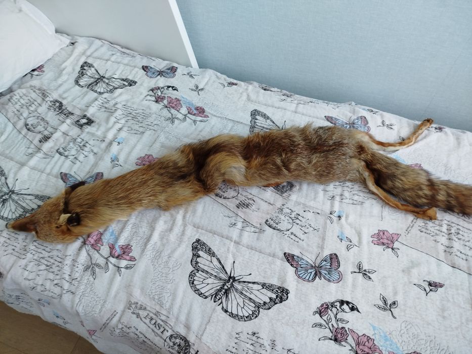 Яка от лисица, подходяща за палто де ми