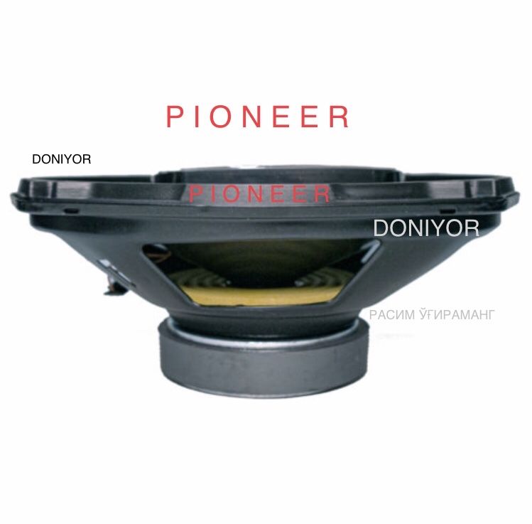 Pioneer 1000w 2ta kalonka endi yangicha bejirim setka bilan keldi