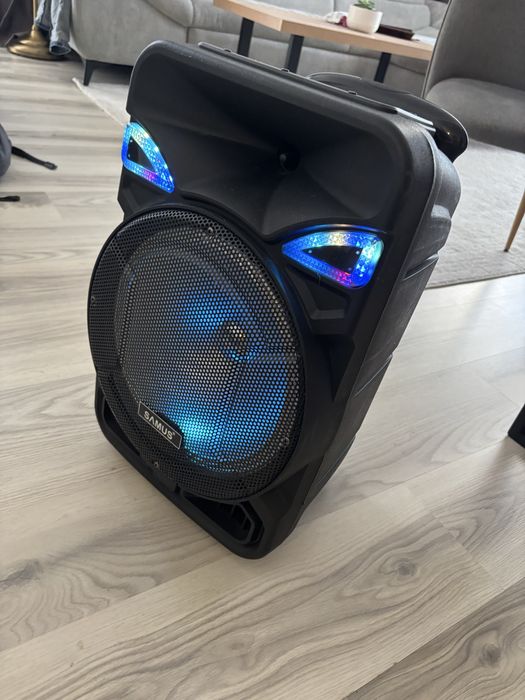Vand boxa profesionala cu microfon