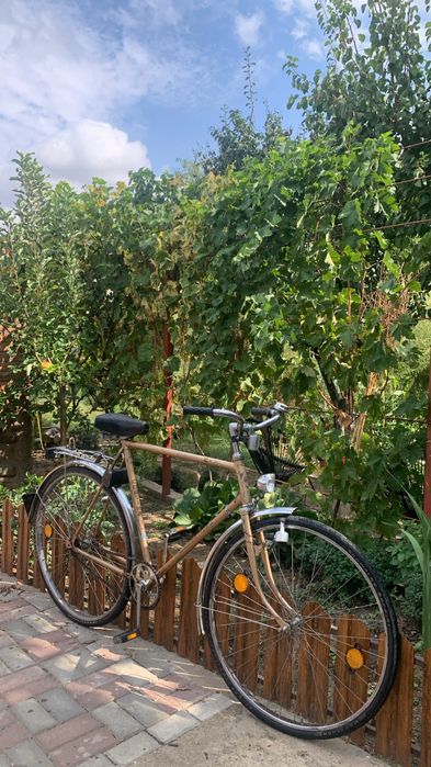 Bicicleta olandeza
