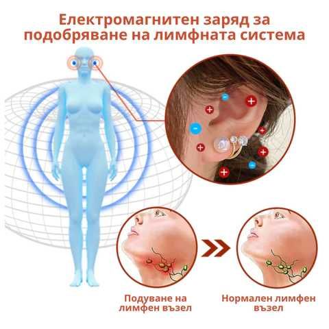 Лимфодренажни обици (за детокс и отслабване)