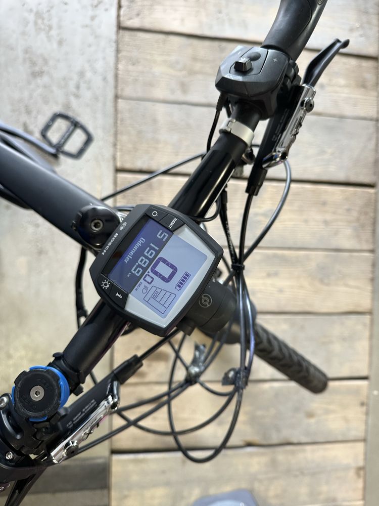 E-bike Riese&Müller Delite Mountain Rohloff M