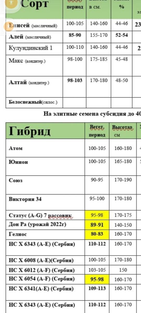 Сортовые Семена подсолнечника,Элита,РС1,2