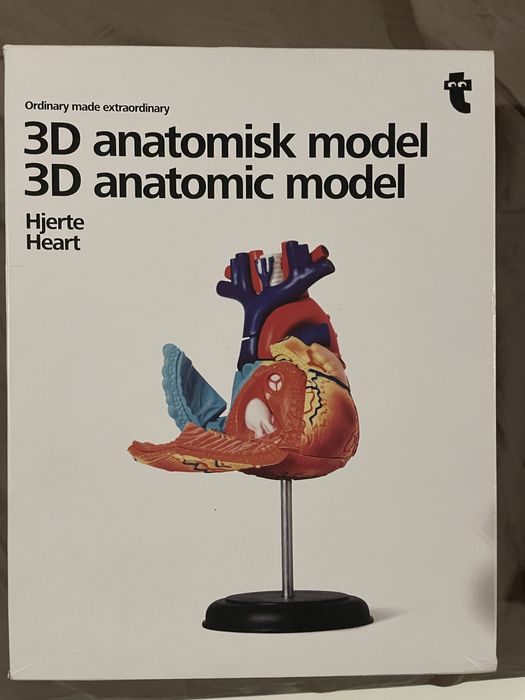 3D анатомичен модел на сърце