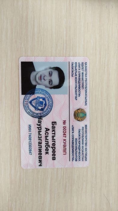 Юрист/арест/отмена/снятие/исполнительная надпись/развод/алимент/раздел