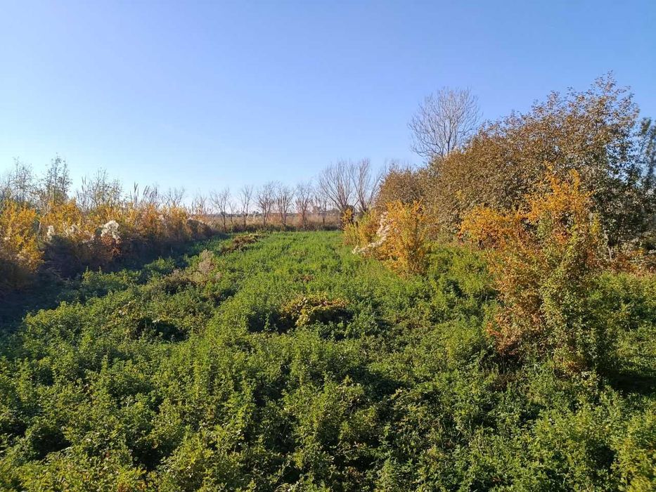 Срочно продаётся земельный участок