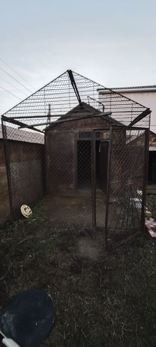 Курятник голубятник