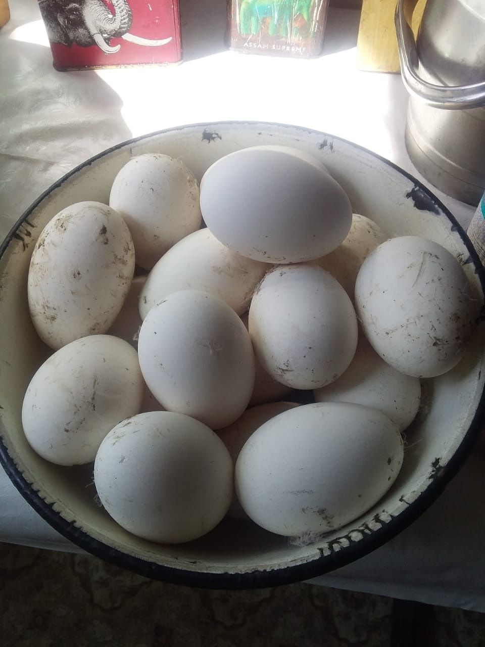 Яйца гусиные, инкубационные