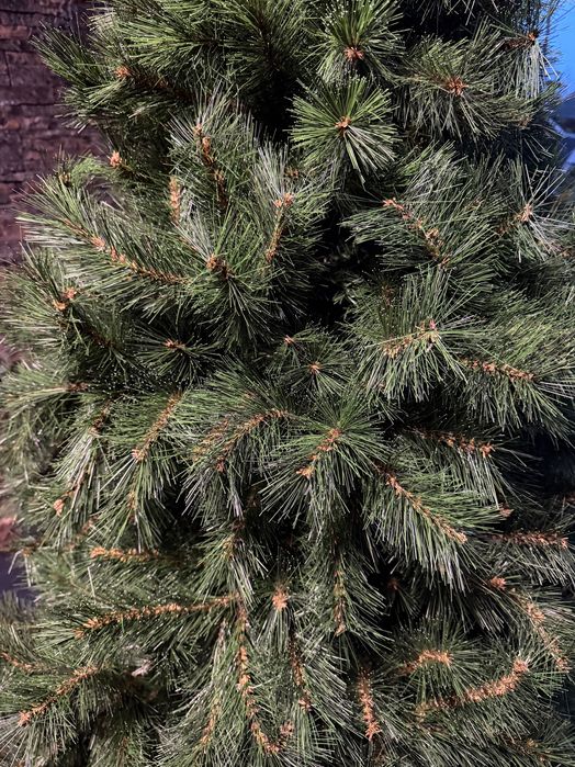 Brad artificial 2,10