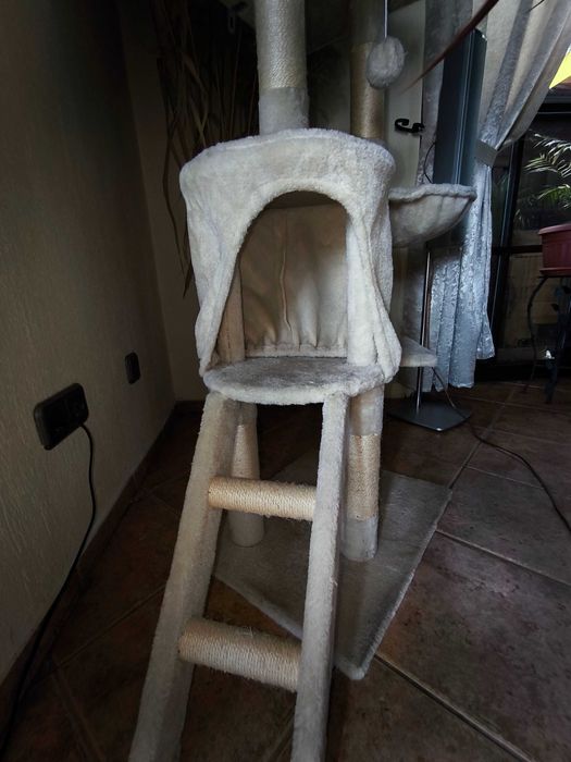 Катерушка за Коте