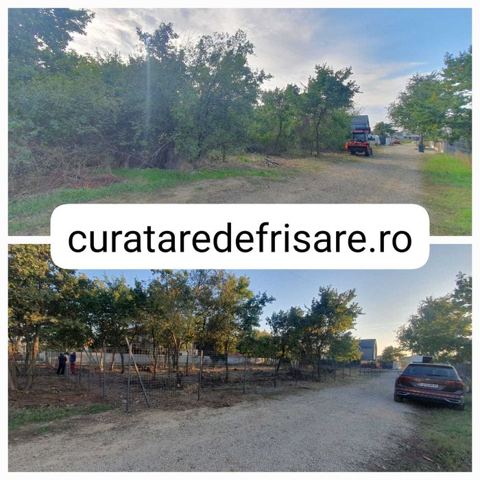 Curatare teren / defrisare / nivelare/ imprejmuire /intretinere anuala