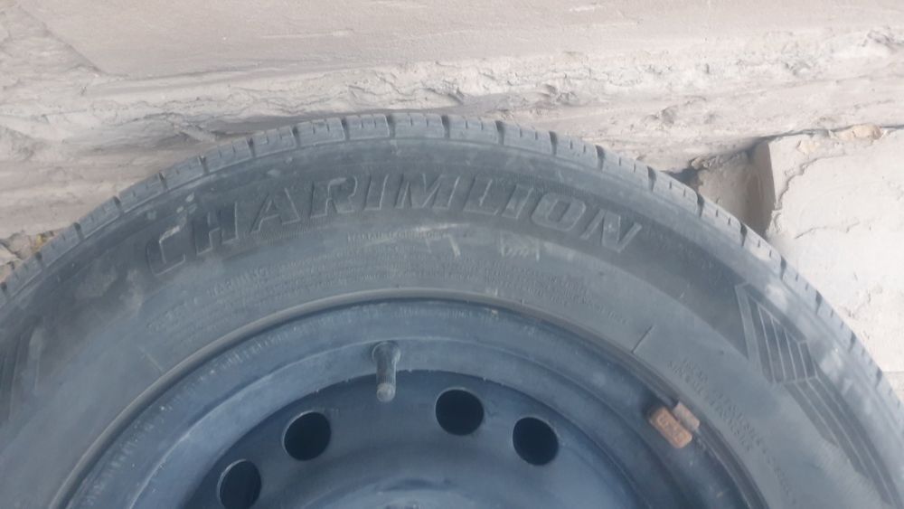 13 болон дикари билан