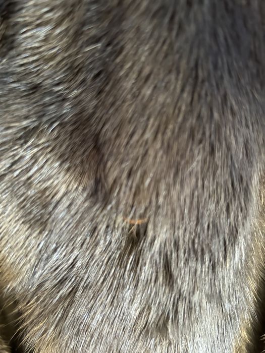 Уникални палта от норка