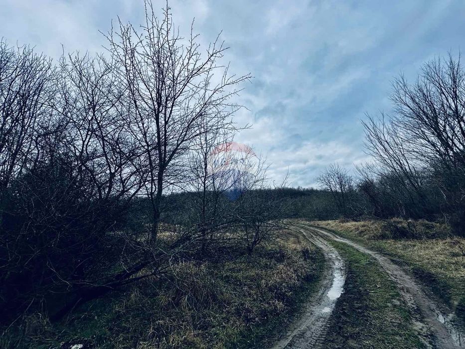 Продава се Парцел в с. Църква, Област Добрич - 25000 кв.м за 3 €/кв.м - Снимка #4