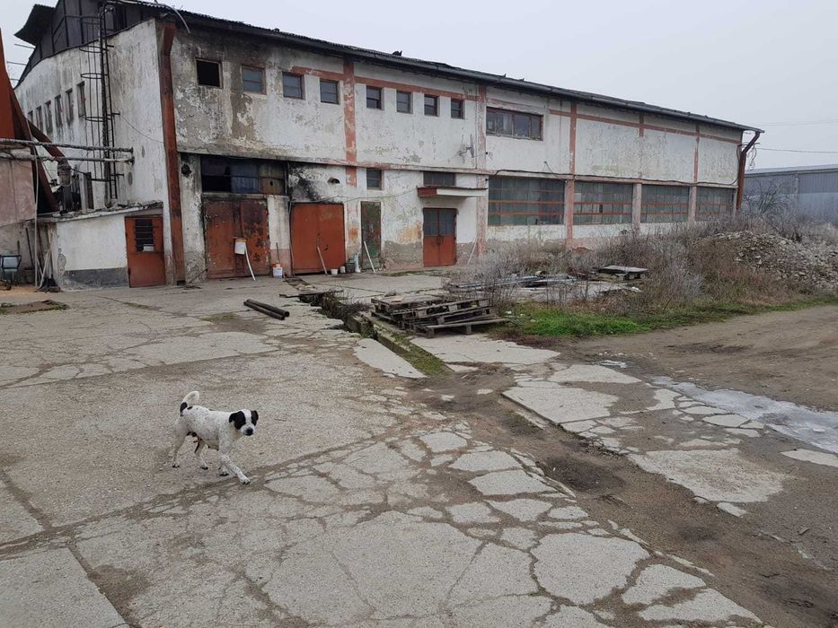 vand hala Berzovia, jud Caras Severin