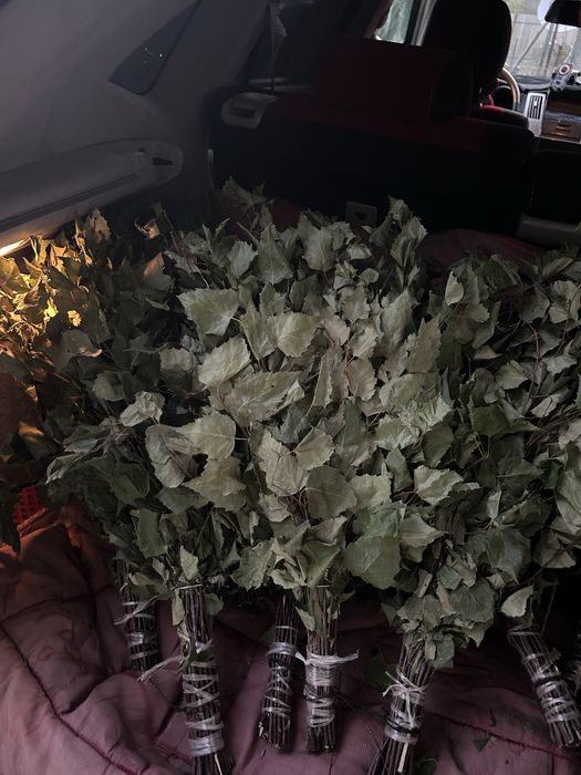 Березовые веники