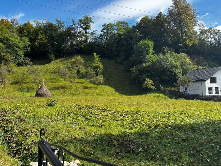 Teren intravilan 2500mp