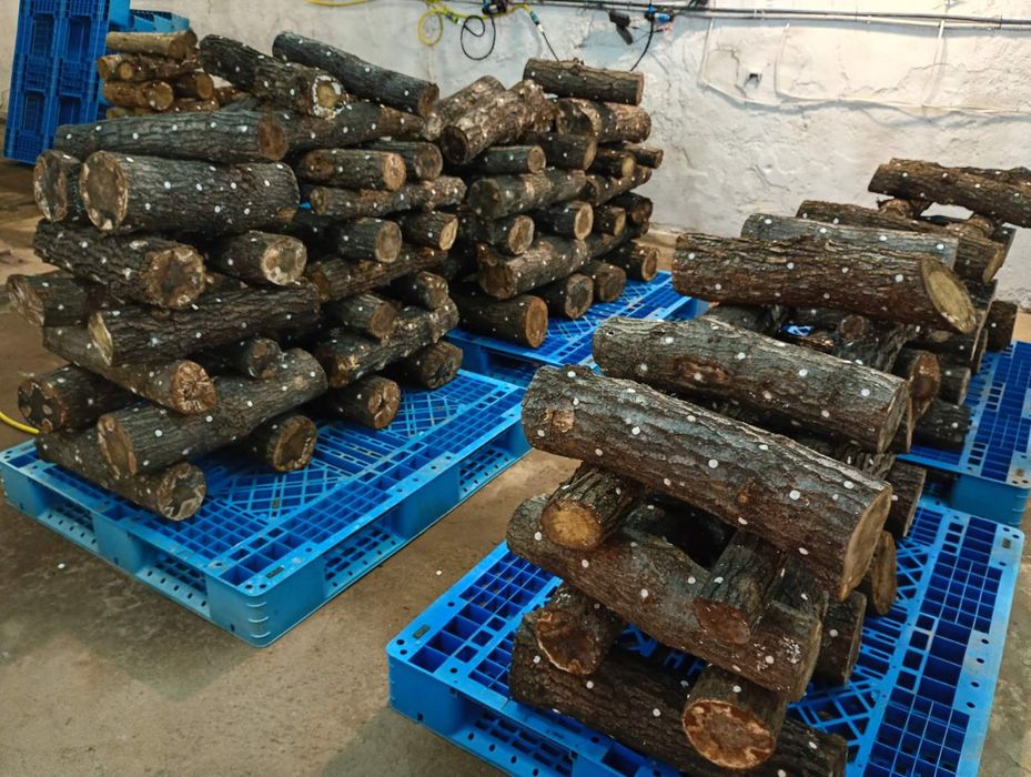 Дава се под наем Промишлена сграда в с. Яхиново, Област Кюстендил - 120 кв.м за 765 € - Снимка #5