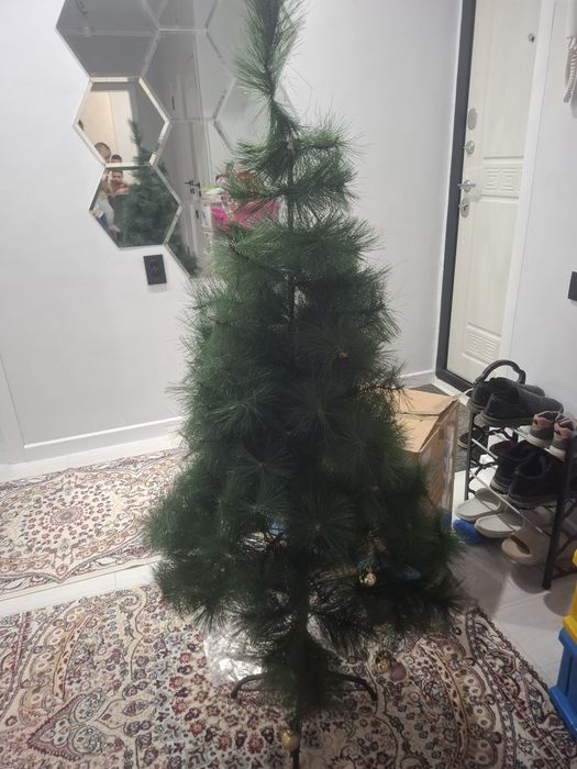 Продам ёлку не дорого