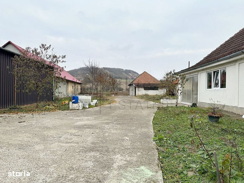 Casa cu 3 Hale si teren 8000 mp in Ulileacu de Cris, Bihor