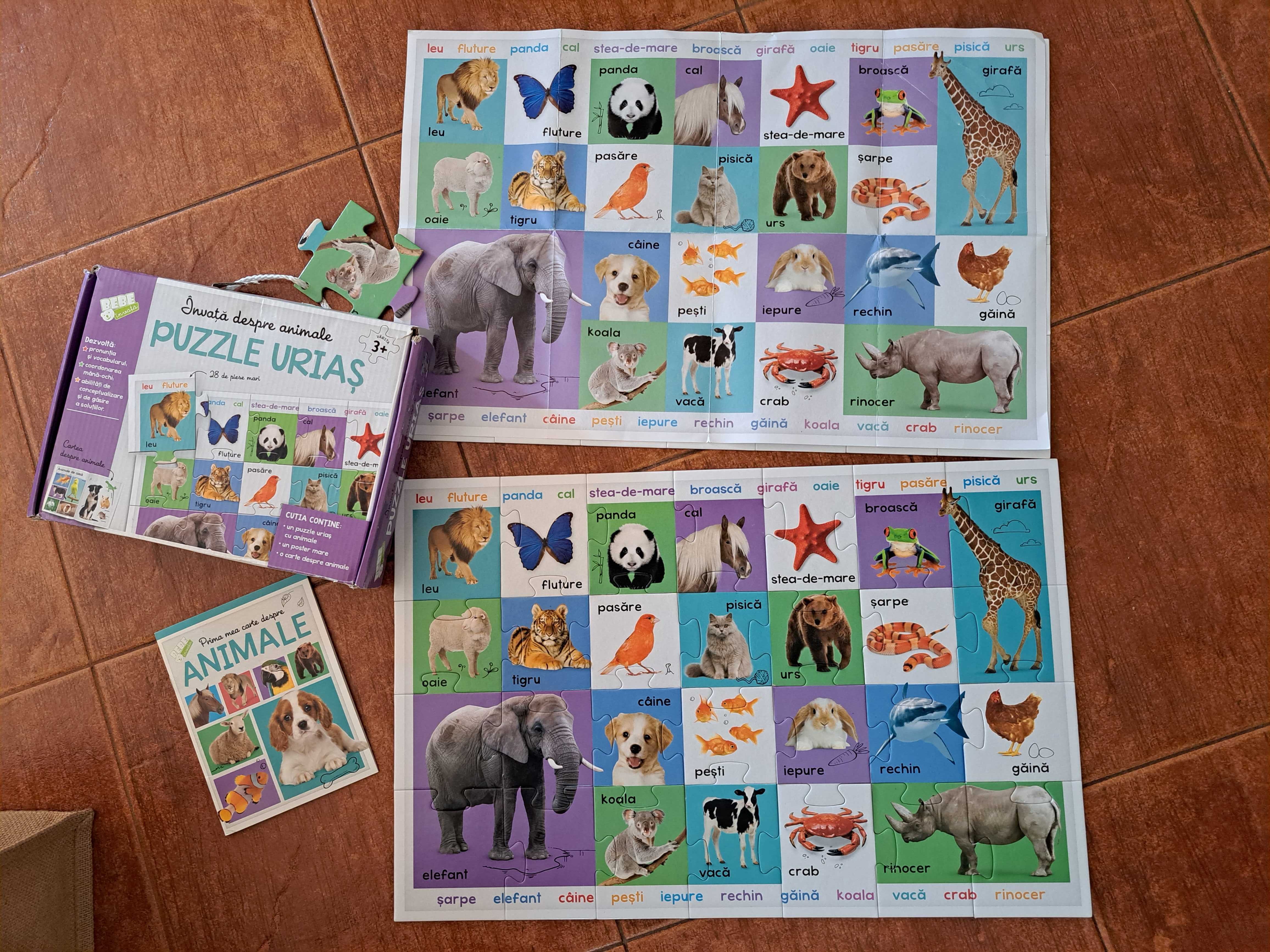 2 Puzzle gigant pentru podea Invata Alfabetul Invata Animalele