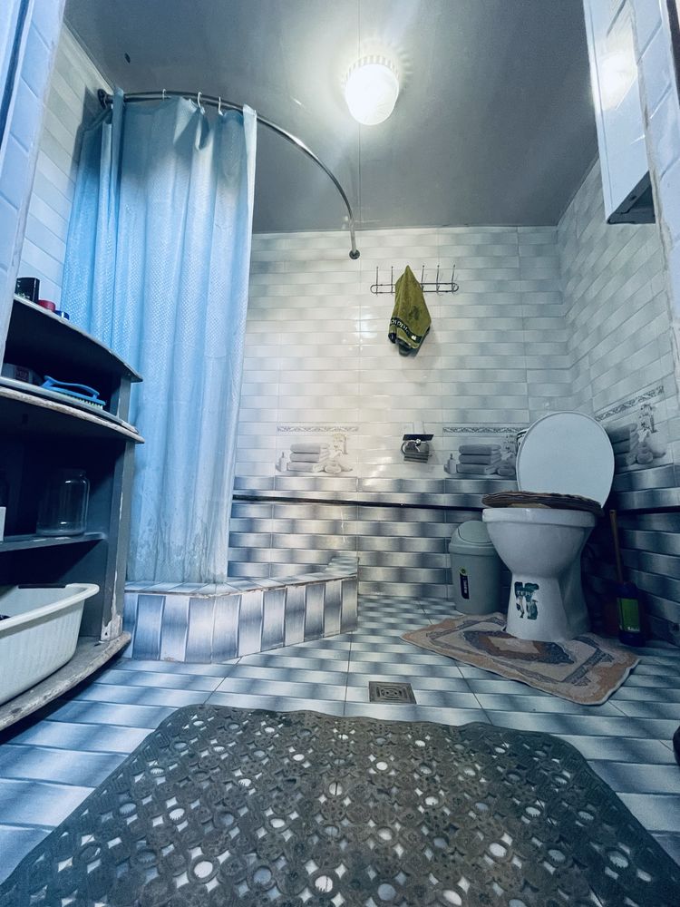 Kotej arzon narhda sotiladi 57000
