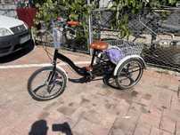 Bicicleta 3 roti
