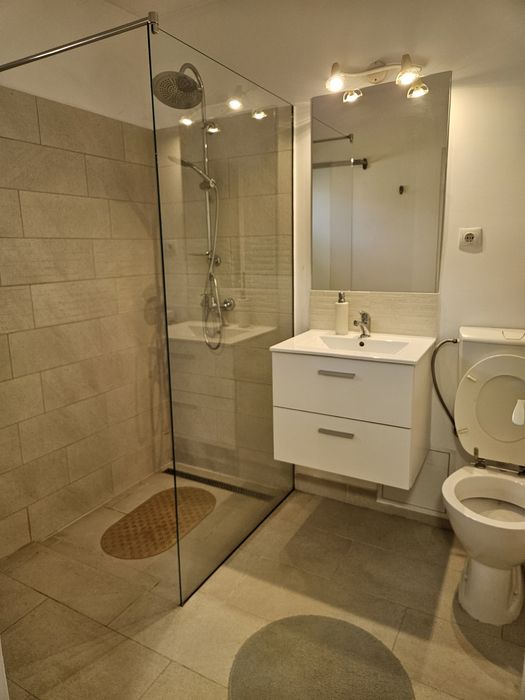 Apartament tip pensiune în Florești – 3 camere cu baie proprie