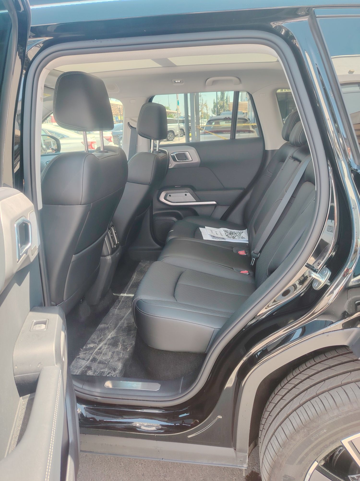 Byd leopard full