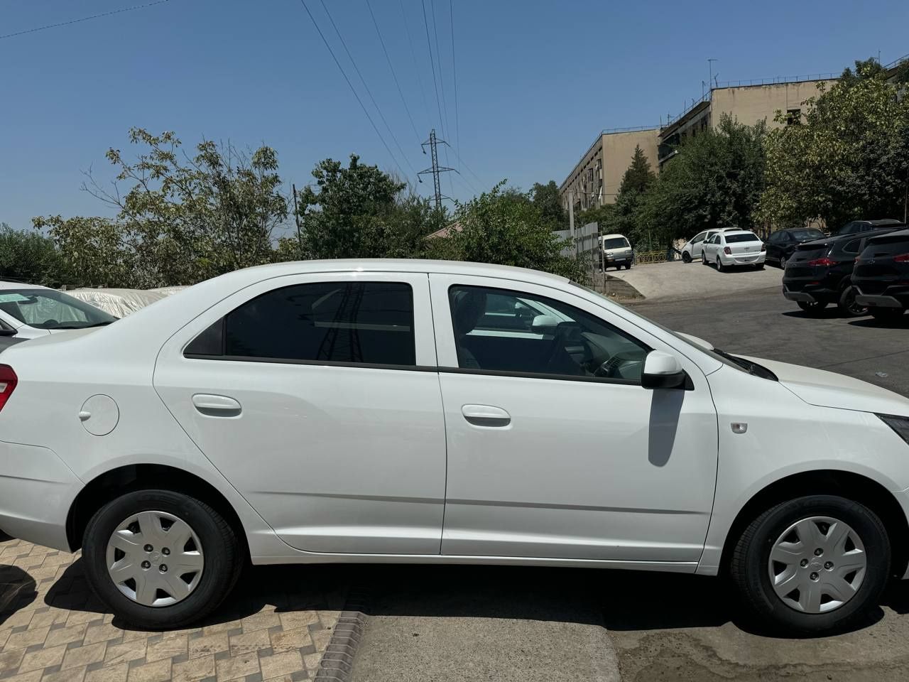 Cobalt GX-OPTIMA kalpakli